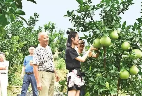 想在线购买新鲜生鲜？胖柚APP不是你的性价比之选吗？