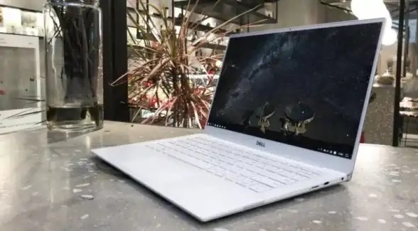 驱动教程🚀dell网卡驱动安装全攻略，小鱼教你轻松解决网络连接问题