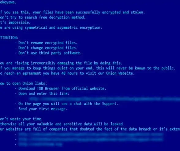网络安全🛡Win11防护：提升软件安全性，远离病毒和网络威胁的实用方法