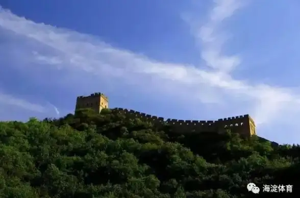 性能榜单🔥天梯图CPU手机：探索极致性能的智能新选择