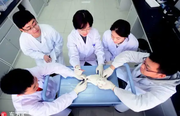 生存必看 游戏攻略 超实用 我的世界》海龟蛋保护与采集终极秘籍详解