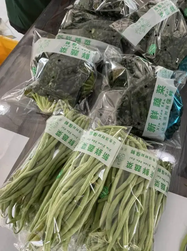 英语学习没效果？让薄荷阅读APP官网版帮你突破瓶颈！
