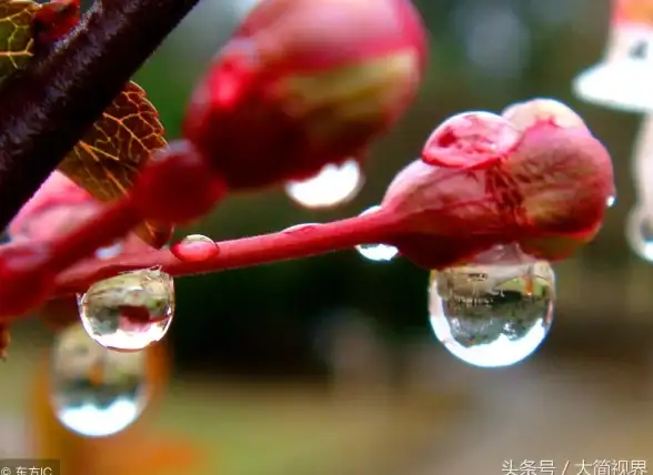 谁说资源下载不能有趣？水珠社区APP打造你的专属天堂！