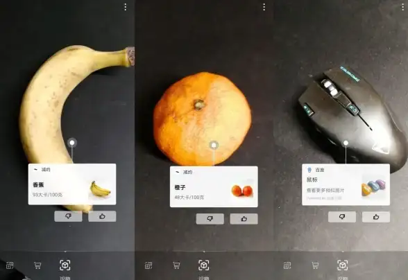 还在为识别物品发愁？这款拍照识物APP让你轻松搞定！