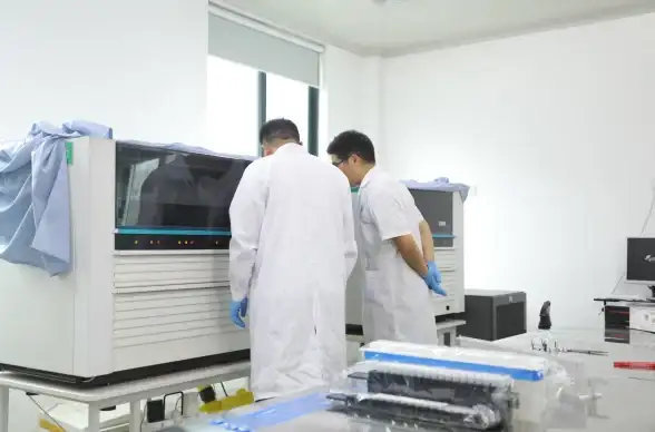 网络防护 信息安全 服务器安全体检的关键步骤与操作指南