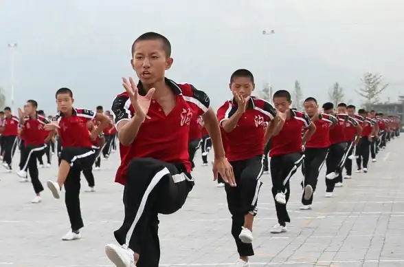 影视🎬高清视频下载，随时畅享视听盛宴