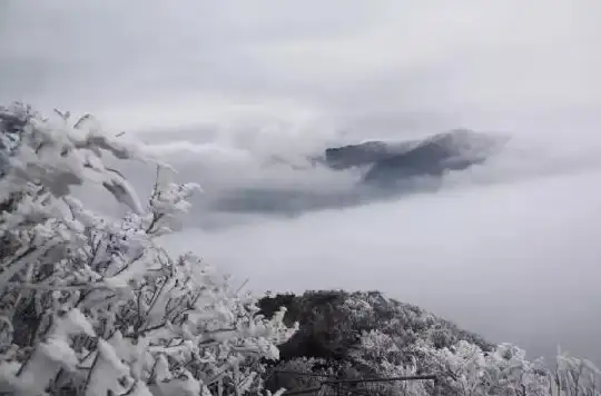显卡性能🔥最新2021年笔记本显卡天梯图，助你轻松选购高性价比机型