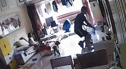 智能科技🚗飞线充电：解锁便捷生活，从此远离插线烦恼