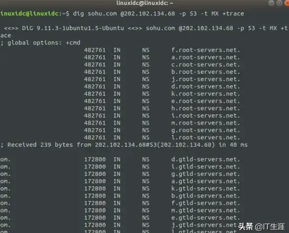 网络工具 域名查询：如何利用CMD命令查询域名代理信息？