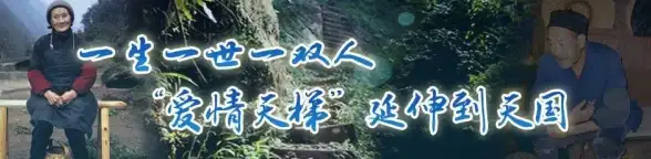 显卡排行🎮2012笔记本显卡天梯图：深度解析年度主流与高端显卡性能对比