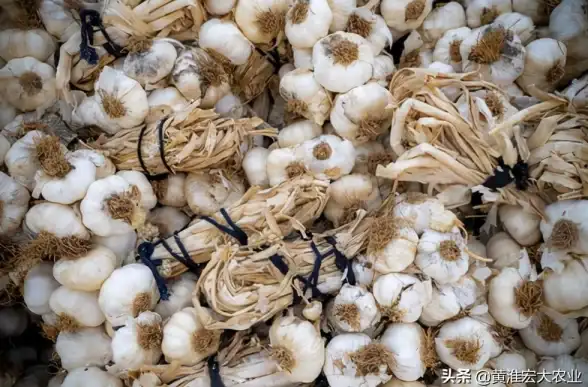 想快速找到合适货源？蜂羽司机版app不就是你的最佳助手吗？