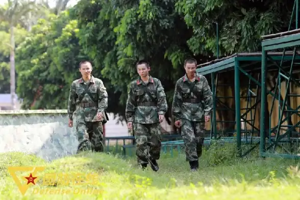 局域网🔥无限对战：探索本地多人游戏的魅力世界