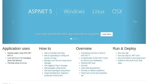 ASP部署 项目上线：ASP项目发布流程详解，如何成功部署你的ASP应用程序？
