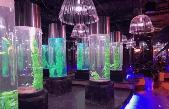 攻略秘籍⚡好友助力⚡管家升级，梦境食旅高效喂食技巧大揭秘！