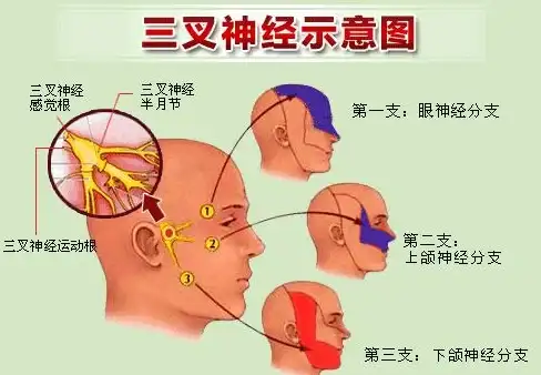 ASP入门 高效学习：如何快速掌握ASP开发教程中的核心内容？