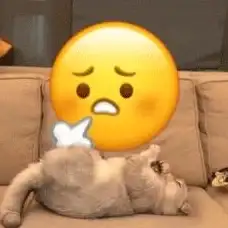 还在为聊天缺少表情包发愁？快来试试emoji表情库app，海量表情任你选！