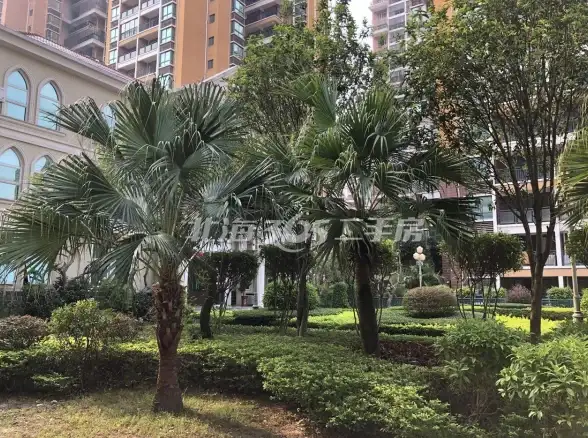 ⚡怪物攻略⚡实战秘籍⚡弱点解析 神之亵渎怨念之崖怪物全方位终极指南