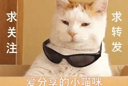 高效办公🚀快捷键设置全攻略：全面掌握快捷键设置的实用方法