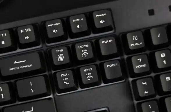 多媒体🎵Win11显示正在播放：体验全新功能，实时掌控多媒体内容