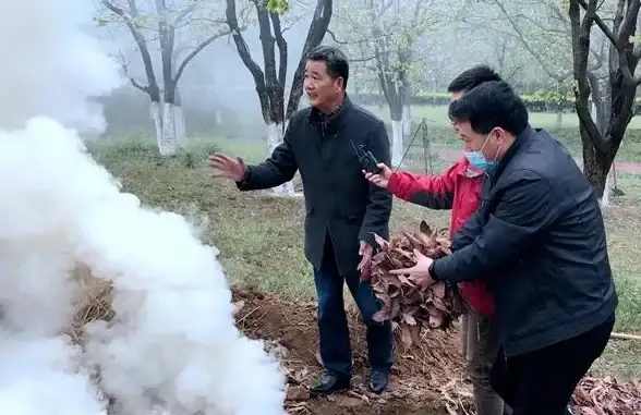 数据存储太麻烦？核桃云端APP帮你轻松搞定，高效管理不是梦！