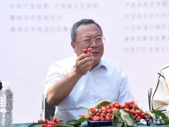 数据存储太麻烦？核桃云端APP帮你轻松搞定，高效管理不是梦！