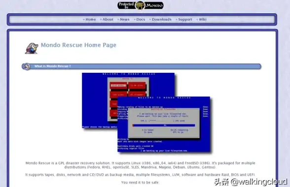CentOS 服务器搭建指南：如何在 CentOS 上配置 www 服务器？