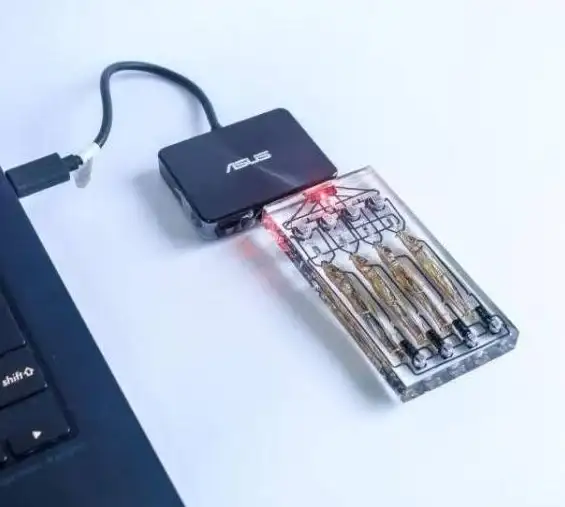 数据恢复🛠移动硬盘无法读取怎么办？小鱼教你轻松解决常见故障