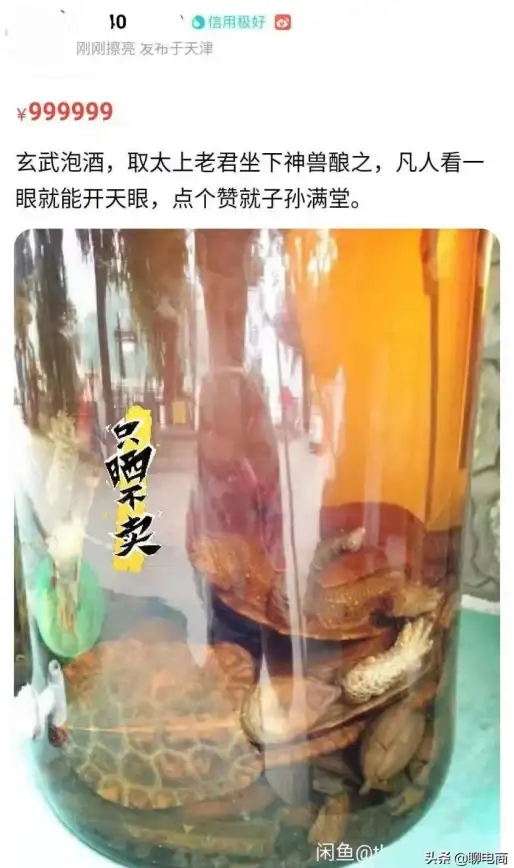 还在为游戏下载和加速烦恼？七七二三游戏盒子让你畅玩无忧！