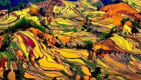 摄影📷相机天梯图排名指南：优选品牌型号助你拍出高质量照片