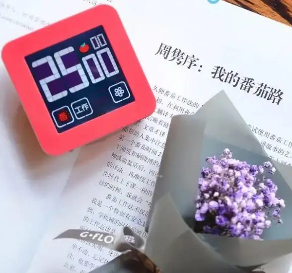 还在为拖延症烦恼？试试反拖延计时器，轻松提升你的时间管理效率！