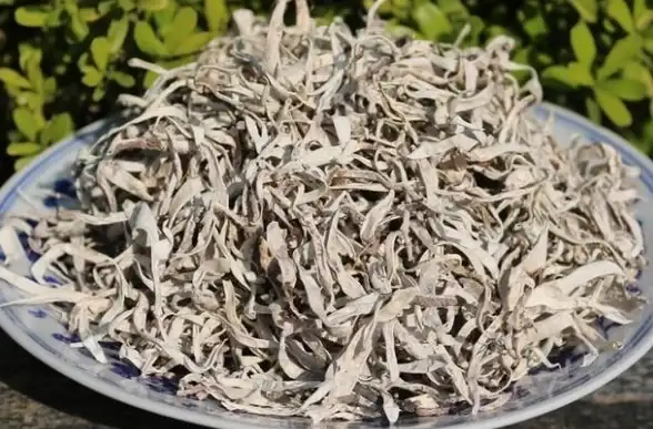 为何不用寻软阁APP？专业提供海量软件资源等你下载！