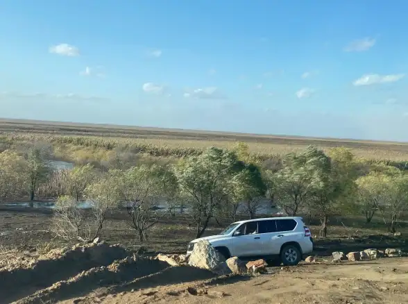 攻略🔥资源采集🔥边境探险《边境之旅》全技巧详解助你称霸游戏边境