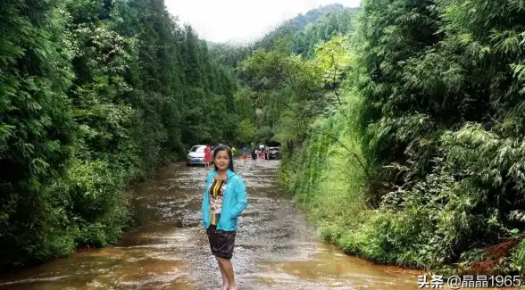 想免号畅玩海量大型游戏？飞鸽云游戏APP每日福利派送，多端无缝对接不香吗？