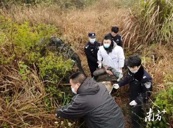 高效办公💻14寸轻薄笔记本电脑，随身携带助力提升工作效率