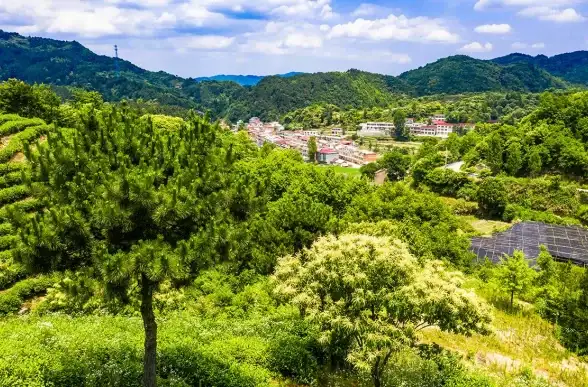 手机查天气怎能枯燥？彩霞天气给你全新实用的气象体验！