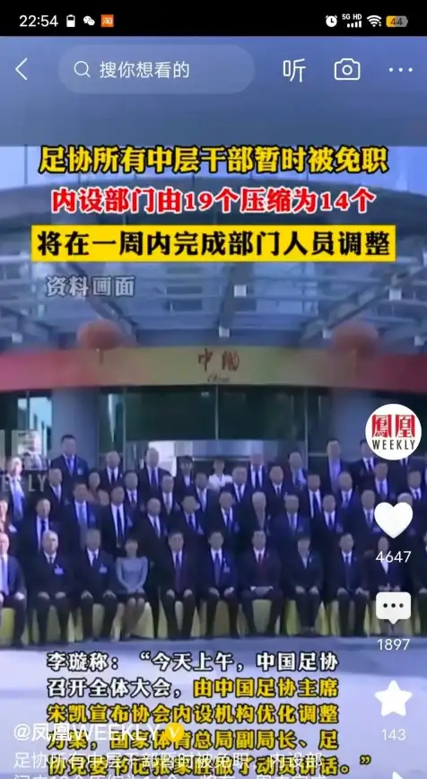攻略技巧🔥最终幻想14水晶世界无头骑士模型宠物速成秘籍