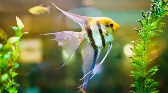 ★干货★深度解析★实用技巧 电影《犯罪现场清洁工》海绵效果超全攻略！