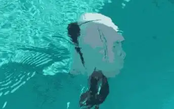 网络故障📱手机wifi打不开怎么处理，小鱼为您详细解析解决步骤