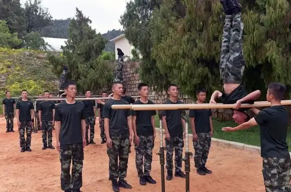 功夫秘籍◆门派绝学◆实用搭配 寸心之争》武学特点全解析！