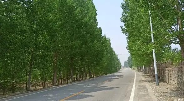 游戏攻略◆实用干货◆心动小镇家园地块超全解锁技巧大揭秘！