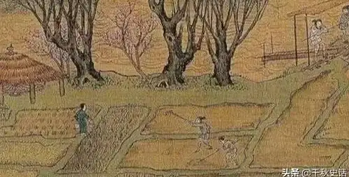 战国攻略✦阵容精选✦完美搭配 逐鹿萌新必看步兵阵容技能详解