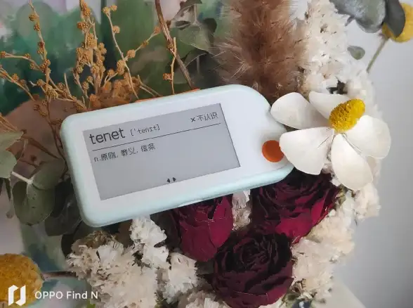 想从零基础快速掌握英语发音？试试英语音标精编APP吧！