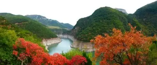 农业🌳果园种植🍎江湖悠悠果树培育技巧及售价波动深度解析