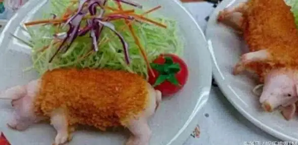 美食探秘◆怪物素材◆创新配方丨黑暗料理王面粉获取全攻略！