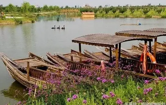 游戏乐趣🌱田园生活QQ农场：打造你的专属农庄，体验种植与养殖的无限欢乐