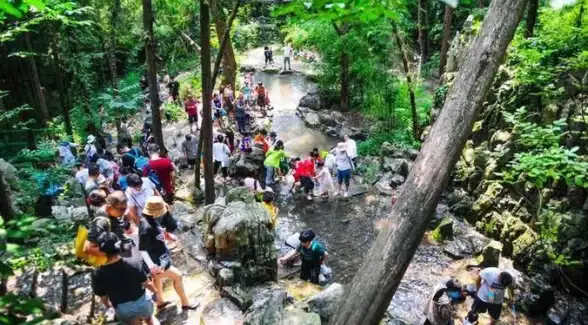 还在寻找妙趣多多的游戏优化神器？试试这款超人气模块修改工具！
