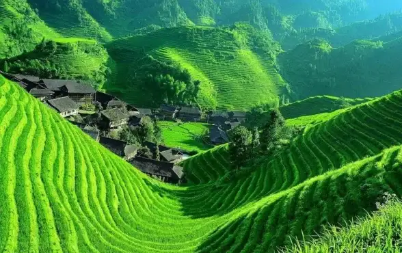 数码相机📷排行榜📈数码相机天梯图2021：热门型号优选与性能全面深度测评