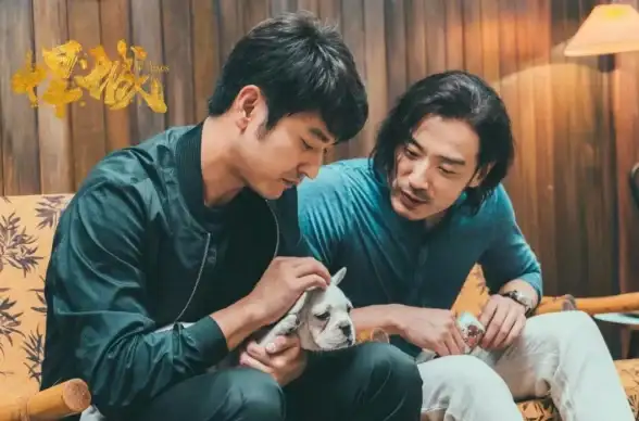 想提升创作者与粉丝的互动？铁粉空间APP帮你轻松实现！