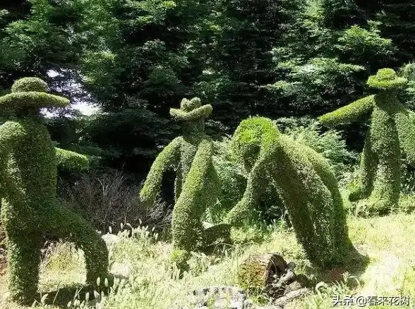 想免费观看全球卫星电视？TV Garden让你足不出户畅享世界节目！