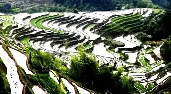 处理器 性能对决 2020年九月CPU天梯图：新一代处理器性能大比拼，科技升级全面解析